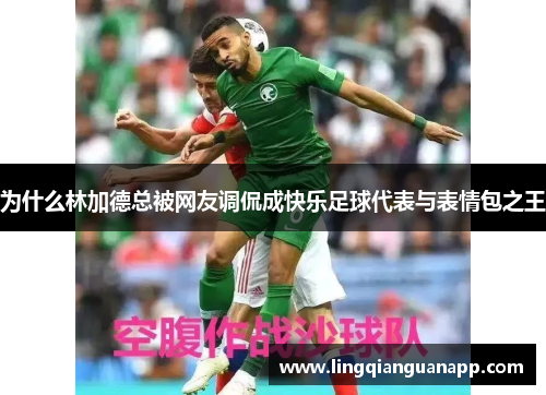为什么林加德总被网友调侃成快乐足球代表与表情包之王
